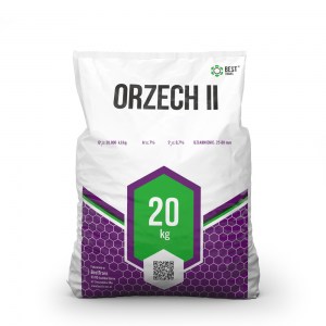 Orzech II z KWK Staszic