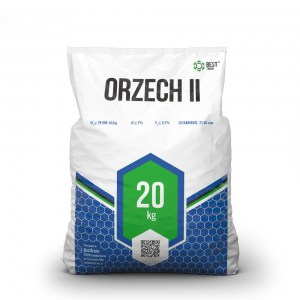 Orzech II 