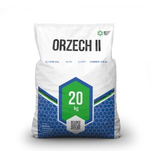 Orzech II 