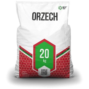 Orzech ZG Janina