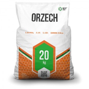 Orzech Workowany